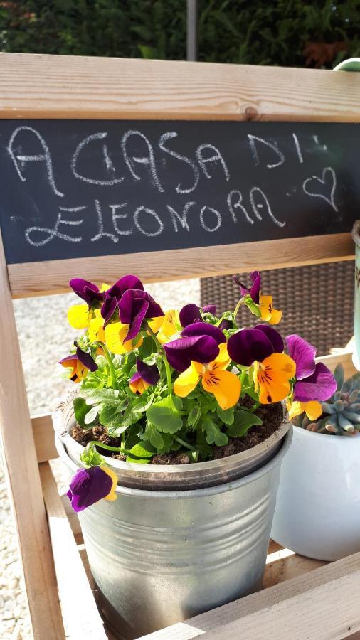 B&B A Casa Di Eleonora Villafranca di Verona Dış mekan fotoğraf
