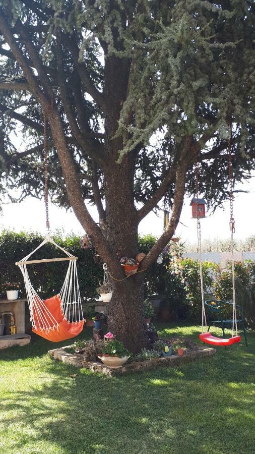 B&B A Casa Di Eleonora Villafranca di Verona Dış mekan fotoğraf